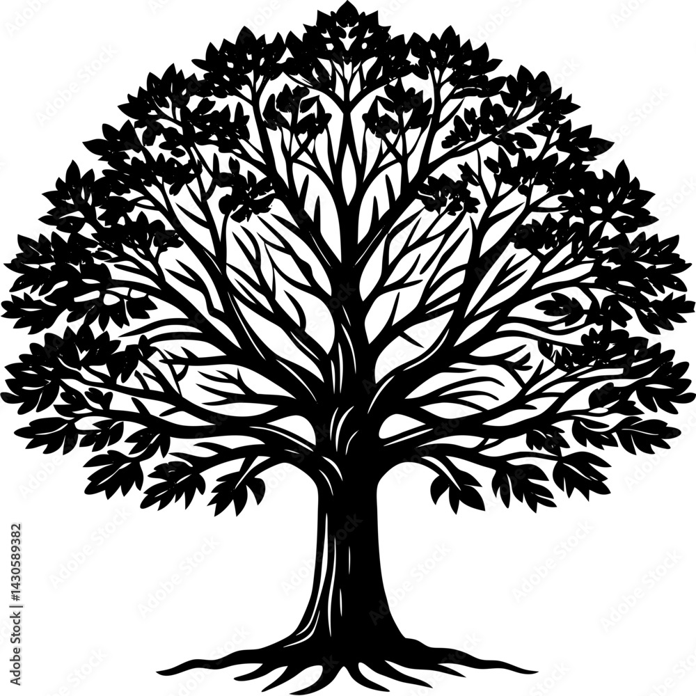 Obraz premium Teak tree