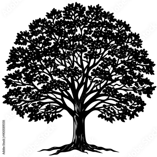 Teak tree