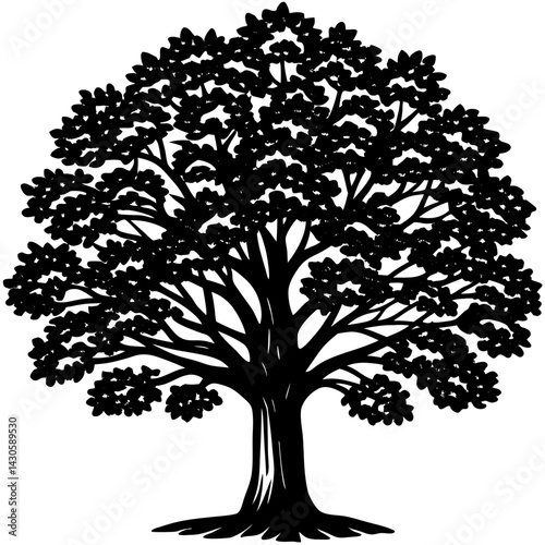 Teak tree