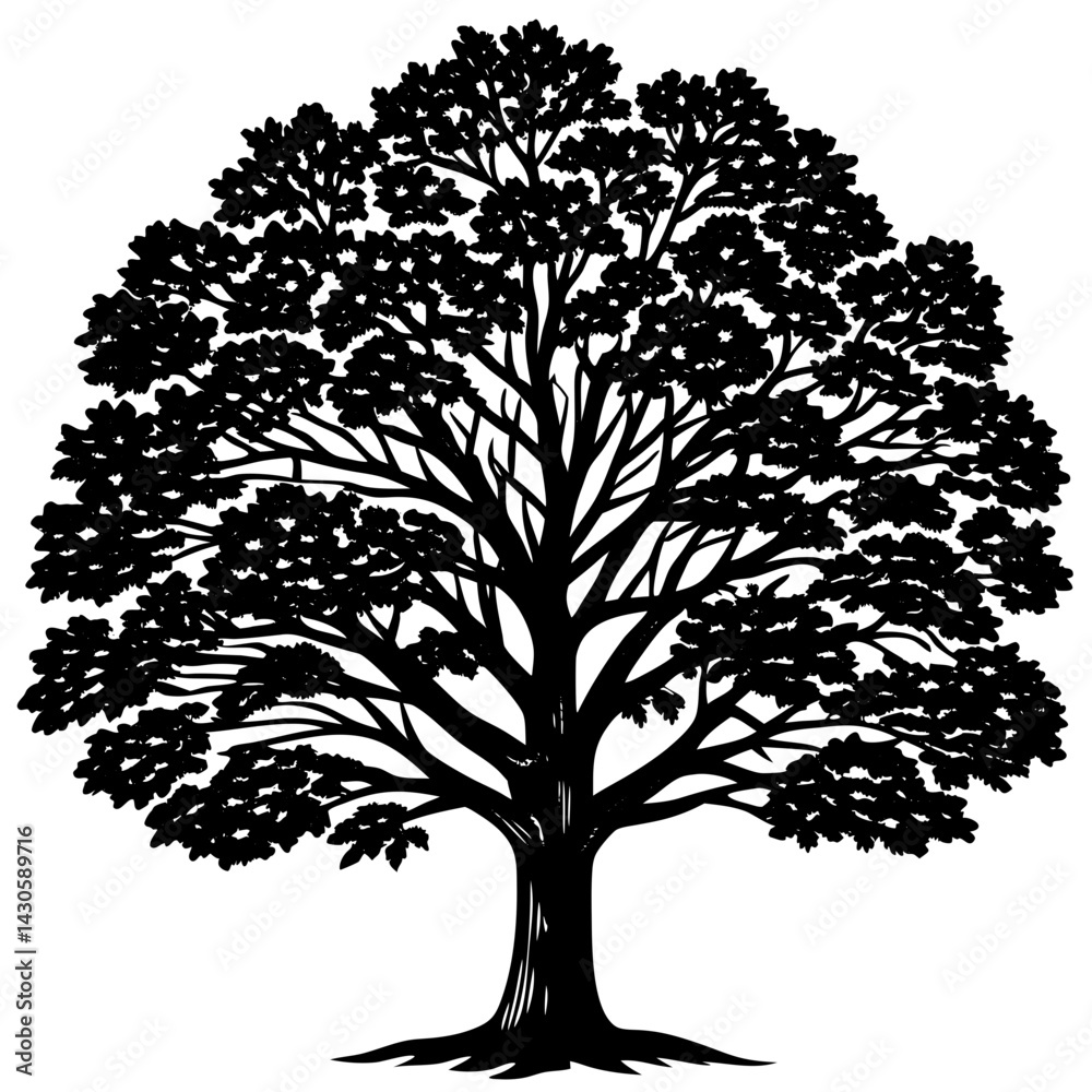 Obraz premium Teak tree