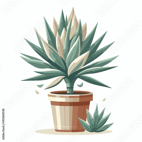 nature, background, plant, yucca, garden, green, flora, flower, botany, leaf, tree, white, floral, illustration, isolated, botanical, foliage, desert, natural, tropical, beautiful, design, outdoor, su