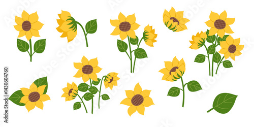 Set of sunflowers cliparts isolated on white. Nature, gardening, agriculture, spring, sunflower oil concept. Vector banner in flat style.