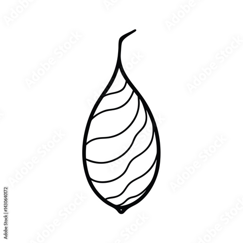 cocoon of breathing bark