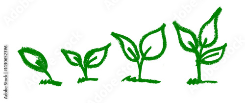 Plant Sprout Growth Crayon Chalk Drawing Vector