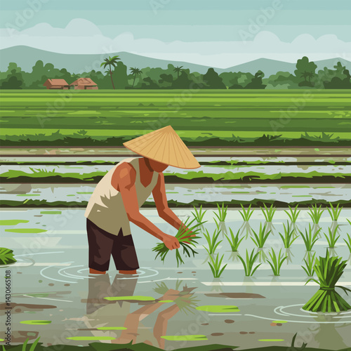 Farmer Planting Rice Seedlings in Asian Paddy Field Landscape