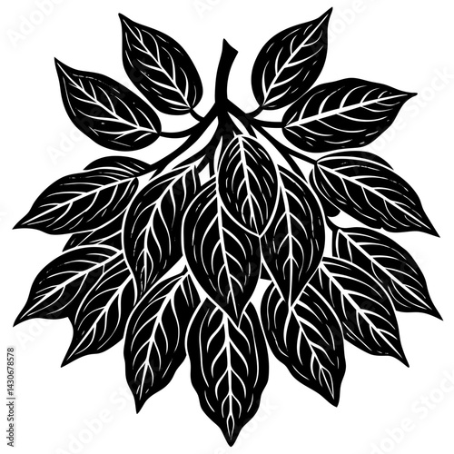 agarwood