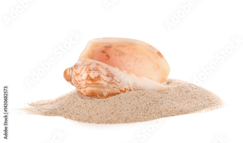 Heap of sand with beautiful...