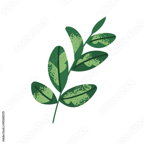 Leaf branch with variegated green leaves. Decorative botanical element. Spotted foliage, leafy plant. Fresh organic eco decoration, greenery. Flat vector illustration isolated on white background