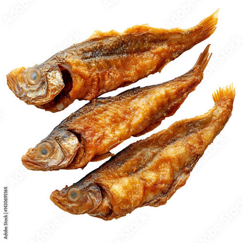 fish white and transparent background