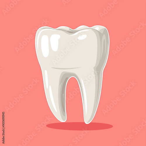 Vector illustration of a premolar tooth as a concept of dental examination teeth, dental health and hygiene