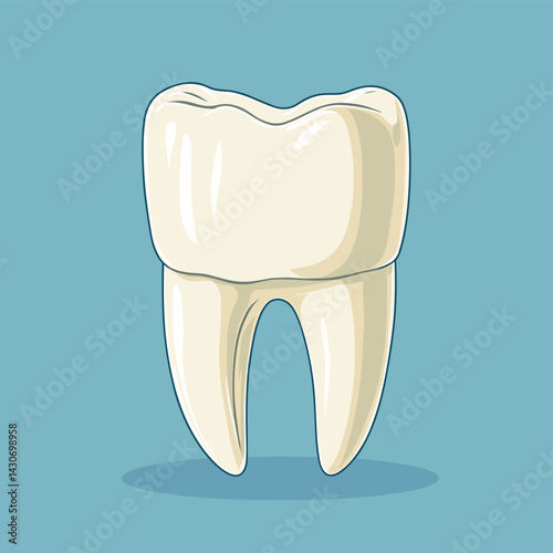 Vector illustration of a premolar tooth as a concept of dental examination teeth, dental health and hygiene