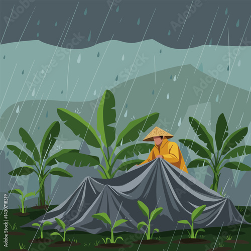 Farmer Protecting Crops During Rainfall with Protective Covering and Hat