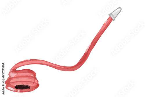 Watercolor Red fire hose illustration. Red rolled firefighter hose isolated on the white background