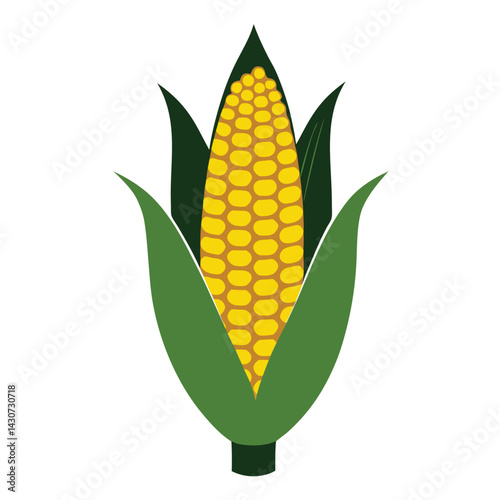 American corn on the cob set isolated shilhotee vector on white background