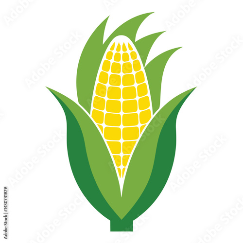 American corn on the cob set isolated shilhotee vector on white background