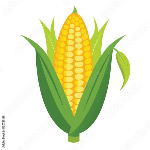 American corn on the cob set isolated shilhotee vector on white background