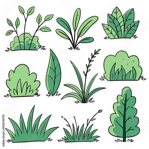 Hand drawn shrub bush shrubbery tree. set of garden plant element. Eco element