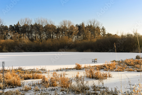 Wallpaper Mural Solitary Seat for Winter Fishing on a Frozen Lake Landscape with Bare Trees Under a Clear Sky Torontodigital.ca