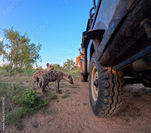 Kruger National Park in South Africa allows you to observe a variety of wild animals very closely, providing a unique African experience
