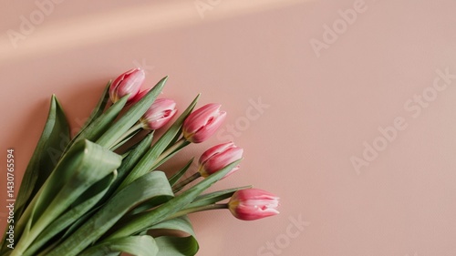 Pink Tulips Bouquet on Pale Pink Background Spring Flowers Floral Arrangement