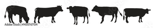 Collection of Cow Silhouette in different poses
