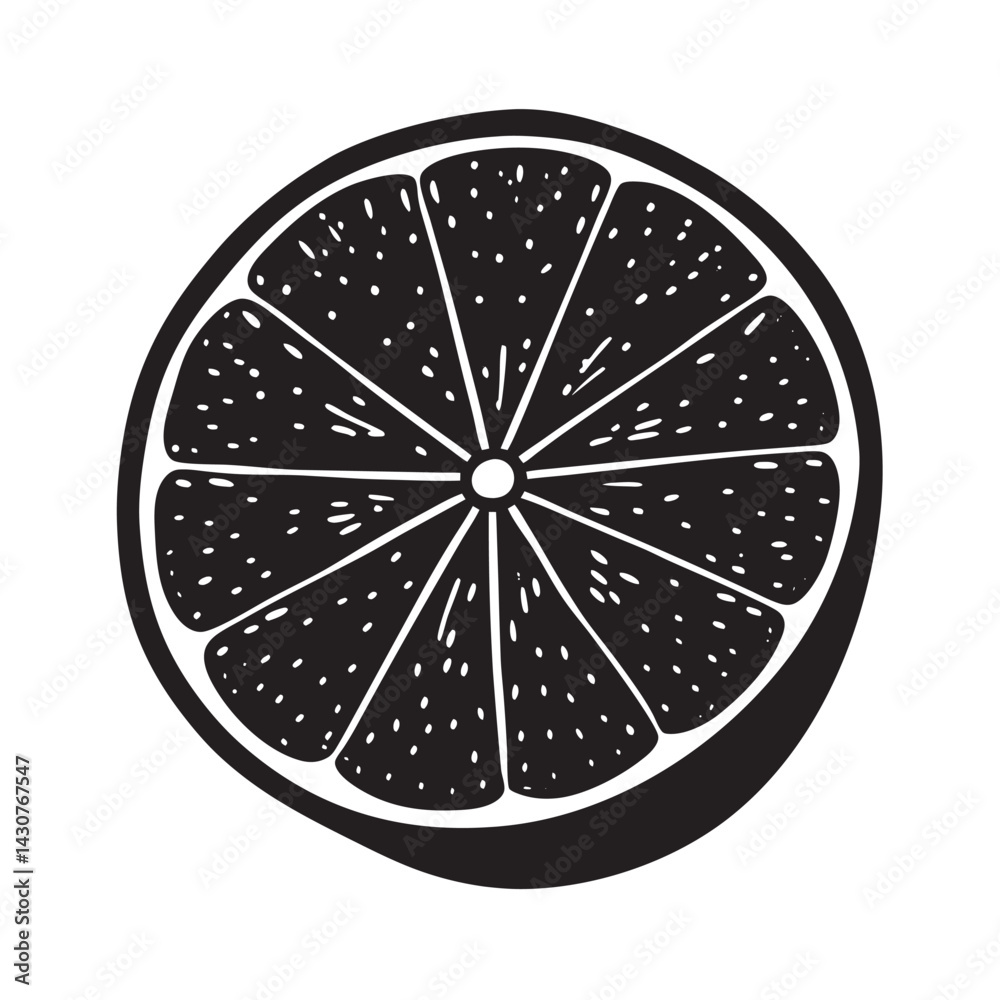 Hand drawn color round slice lemon Fruit cut in sketch style whole fresh citrus Silhouette Hand drawn color round slice lemon Fruit cut in sketch style whole fresh citrus Silhouette