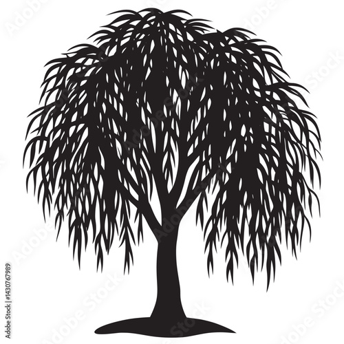 A black and white silhouette of a willow tree 