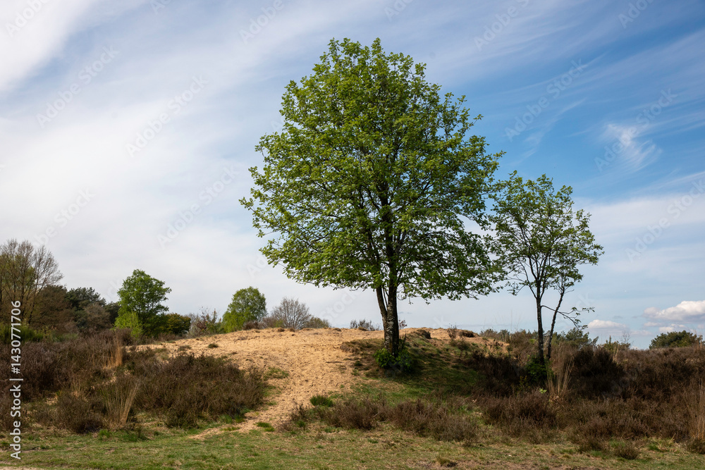 Veluwezoom bij Velp