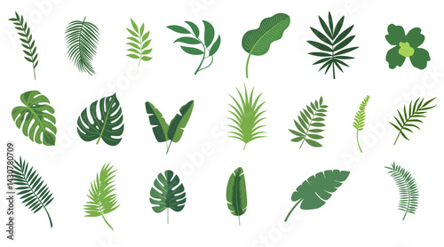 Set of tropical leaves SVG. illustration vector on transparent background minimal green summer.