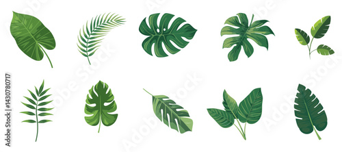 Set of tropical leaves SVG. illustration vector on transparent background minimal green summer.