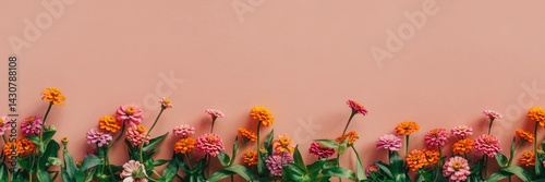 Vibrant Zinnia Flowers Border on Peach Background Floral Design
