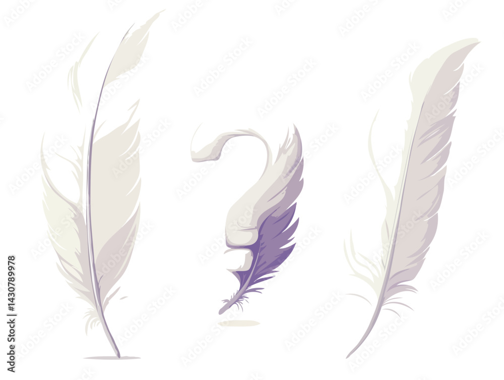 Obraz premium feather on white background
