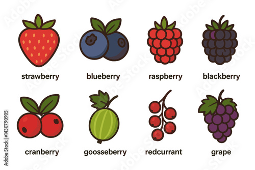 Examples of berry fruits are strawberry, blueberry, raspberry, blackberry, cranberry, gooseberry, redcurrant, and grape