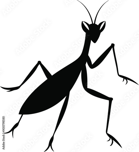 Mantis Silhouette vector with white background