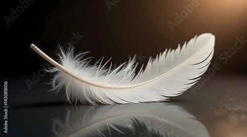 Elegant white feather on a dark background, reflecting on a glossy surface. Ideal for conveying purity, peace, or delicate beauty in designs and visuals.