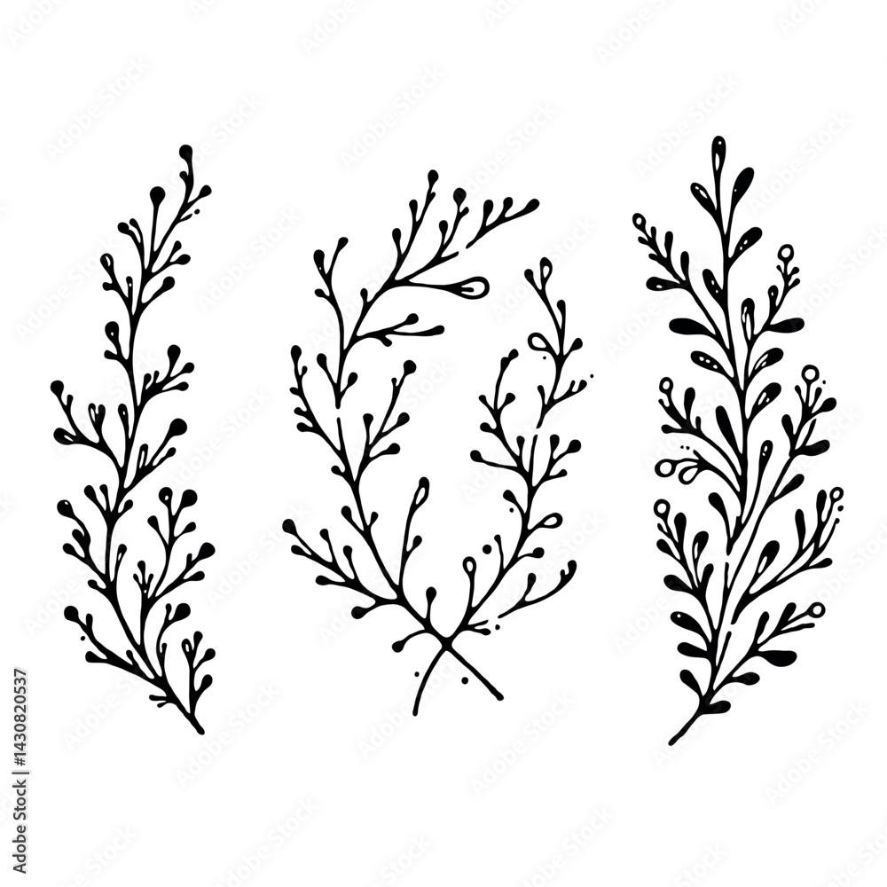 Hand drawn wild flowers Botanical drawing. Simple line art frieze, stems illustration. Black and White Meadow herbs. Stylized blooming twigs plants. Set of outline doodle floral sketch Leaves border Hand drawn wild flowers Botanical drawing. Simple line art frieze, stems illustration. Black and White Meadow herbs. Stylized blooming twigs plants. Set of outline doodle floral sketch Leaves border