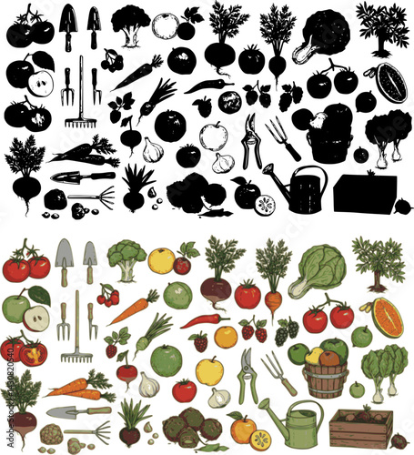 Collection of hand-drawn vegetable and fruit illustrations showcasing a variety of produce and gardening tools, vector set