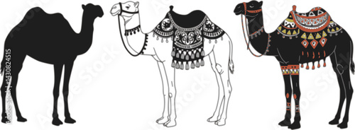 Vector illustration of three camels with saddles standing in a row showcasing different saddle designs and decorative styles, vector set