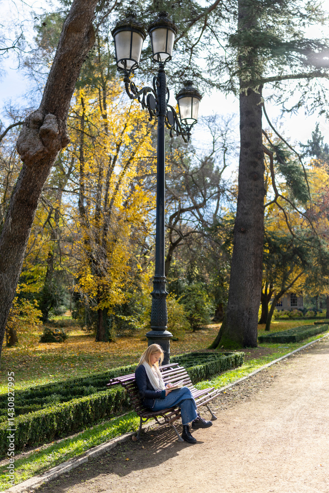 A charming and peaceful scene depicts a person deeply immersed in the art of reading while sitting comfortably on a park bench, surrounded by vibrant autumn foliage in a beautiful natural setting A charming and peaceful scene depicts a person deeply immersed in the art of reading while sitting comfortably on a park bench, surrounded by vibrant autumn foliage in a beautiful natural setting