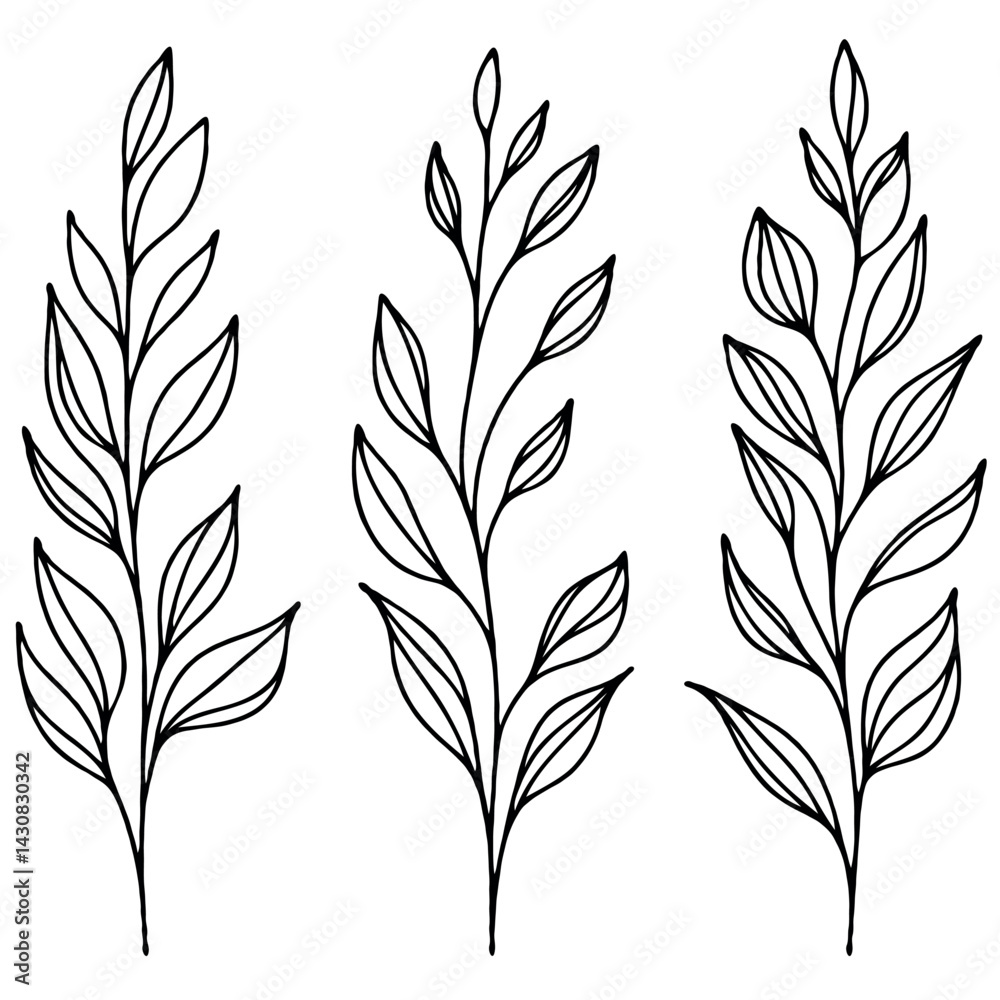 Fototapeta premium Hand drawn wild flowers Botanical drawing. Simple line art frieze, stems illustration. Black and White Meadow herbs. Stylized blooming twigs plants. Set of outline doodle floral sketch Leaves border