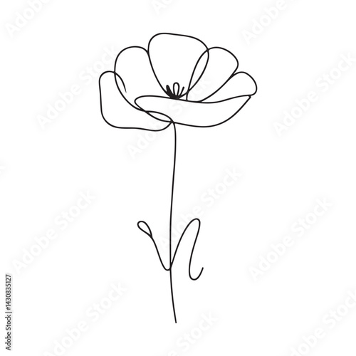 Minimalist Poppy Flower Single Line Art Drawing Botanical Illustration