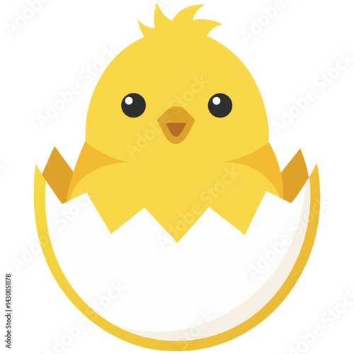 Chick hatching from egg

