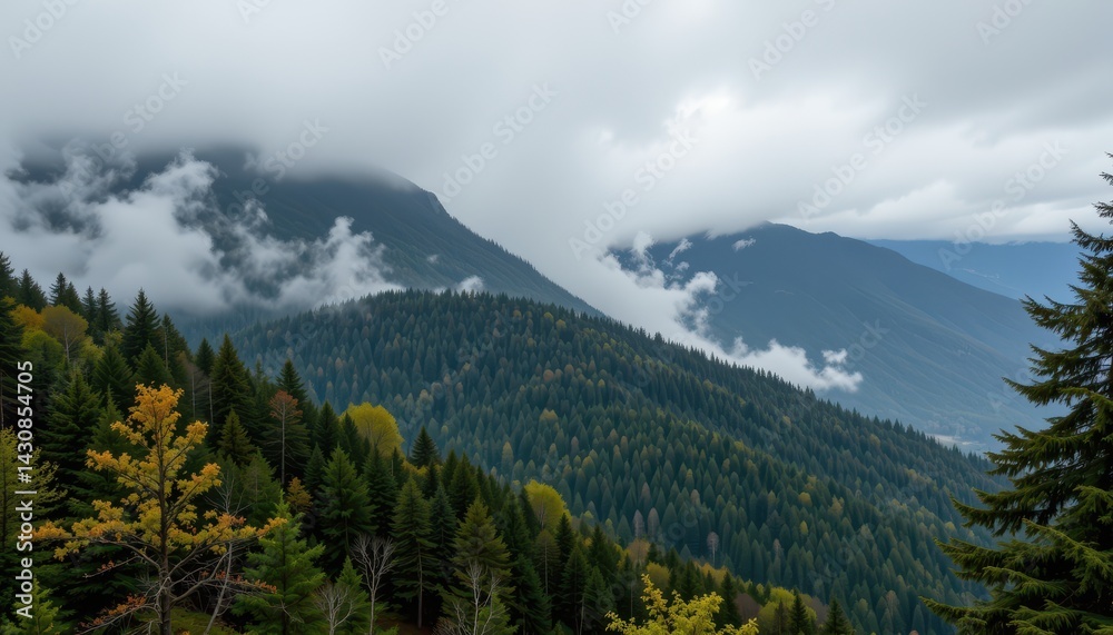Obraz premium Foggy mountain range with dense forest, misty and mysterious nature