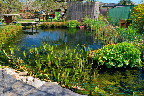 Root wastewater treatment plant as a garden pond. Relaxation zone with fish farming in an organic garden from above. Sustainable development in gardening and aquaculture.