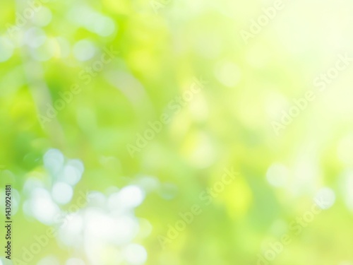 新緑の木漏れ日の様子。爽やかな光の風景。