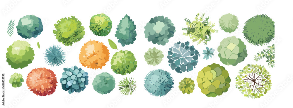 Watercolor style hand drawn top of view tree garden useful for landscape design