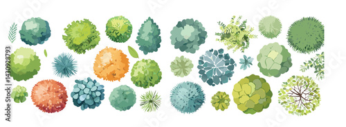 Watercolor style hand drawn top of view tree garden useful for landscape design