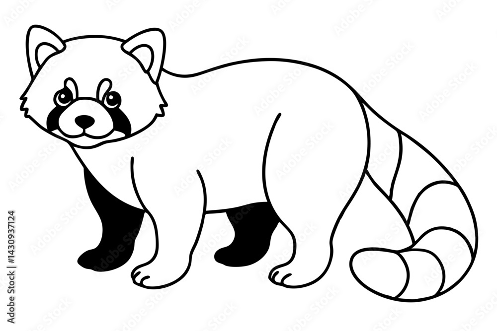 Fototapeta premium Wild Red Panda Sketch Vector