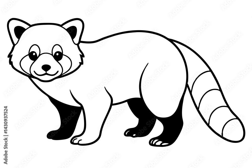 Fototapeta premium Wild Red Panda Sketch Vector