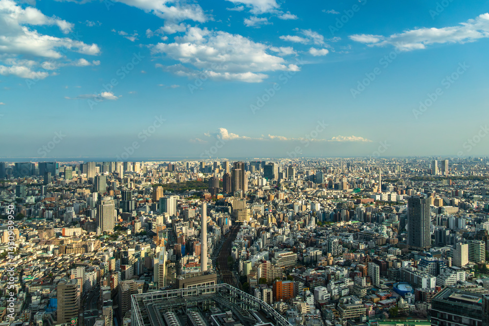 Obraz premium aerial view of Tokyo